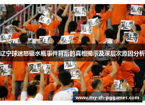 辽宁球迷怒砸水瓶事件背后的真相揭示及深层次原因分析