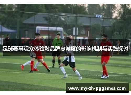 足球赛事观众体验对品牌忠诚度的影响机制与实践探讨 足球赛事观众体验对品牌忠诚度的影响机制与实践探讨